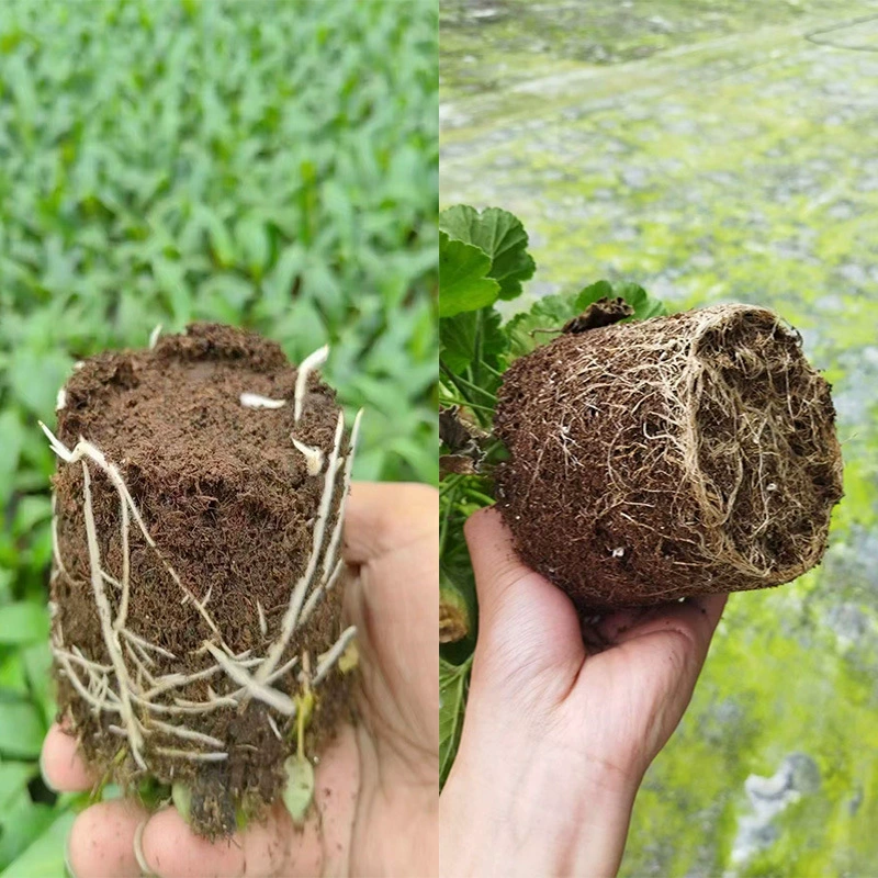 Торфяной грунт оптом. Торфяной грунт общего назначения. Питательный грунт. Грунт для рассады. Грунт для посадки. Садовый грунт. Грунт для овощей.