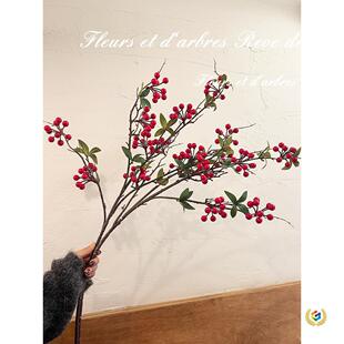 ?�Ї��Lӭ����lؔ���´��t���������~�{�����������w�b�