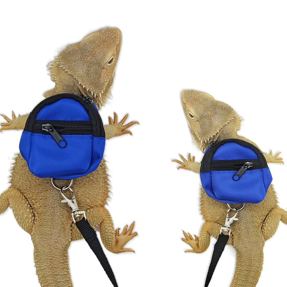 Хамелеон Ящерица Хэллоуин смешные наряды наряжаются школьные сумки