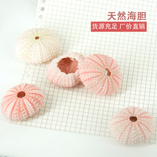 ��Ȼ��đ�� 5cm�ۺ�đ�˱����к��՚��P�����Թ�ˇƷ�bؐ�����l