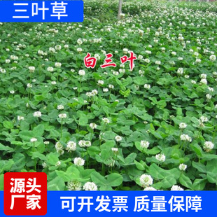 ���l���~�ݷN�Ӽt���~�N�����\���ļ������ͺ��G����ƺ���ѾG��