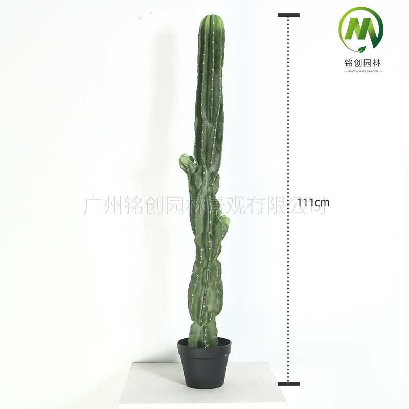 Decoración de paisajismo de plantas falsas en el desierto tropical image 16