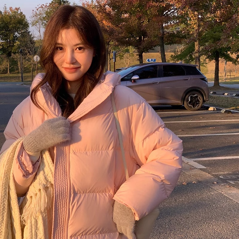 사쿠라 핑크