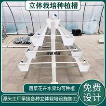 pvc���ŷNֲ�����w�Ԏ���ˮ�۲�ݮ�Nֲ�۴��ˮ�߲˲��̨�N��