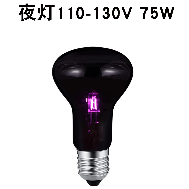 R63110v E26 야간 조명 75w