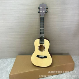 弹拨类乐器;乐器配件;乐器箱包