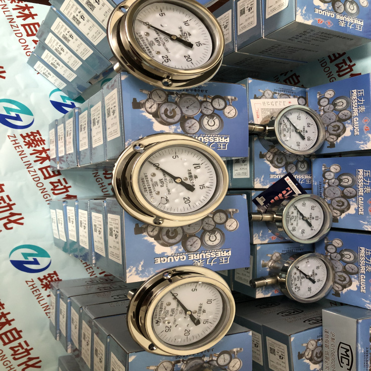 不锈钢耐震压力表Y-100BF/Z0-1.0MPAM20*1.5 上自仪