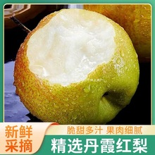 ɽ���\�ǵ�ϼ�t���� ���r�ִ���Ʒ�|����ˬ�ڿڸ�ζ����ā֭ˮ