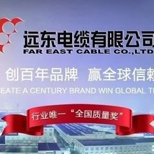 远东电缆全系列厂价直销YJV,WDZB-YJY,BV国标铜芯电缆