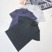 �ļ������ٸɷ�ɹ���俹��POLO���������з�ɹ����56917