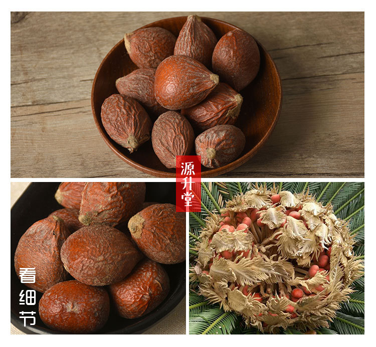 Tie Shu Guo (Cycas revoluta Seeds) — Dried Sago Palm Fruit, 500g Herbal Supply overview