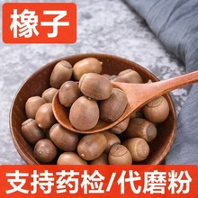 中药材 橡子 新货橡子 栗茧橡子 橡实栎树果橡果橡栗 支持药检