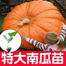 ���������ϹϷN�ӳ����Ϲ������N���ش��ļ������^�pɽ�|�۹�