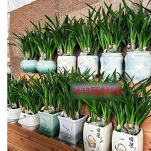 mīm҃ȾGֲ[ഺ܏Vݰl