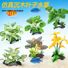 ˮ�����~���쾰ˮ���b������Ϻɻ��ٲ��~ˮ�ݷ���ֲ��ɳ�P�[��