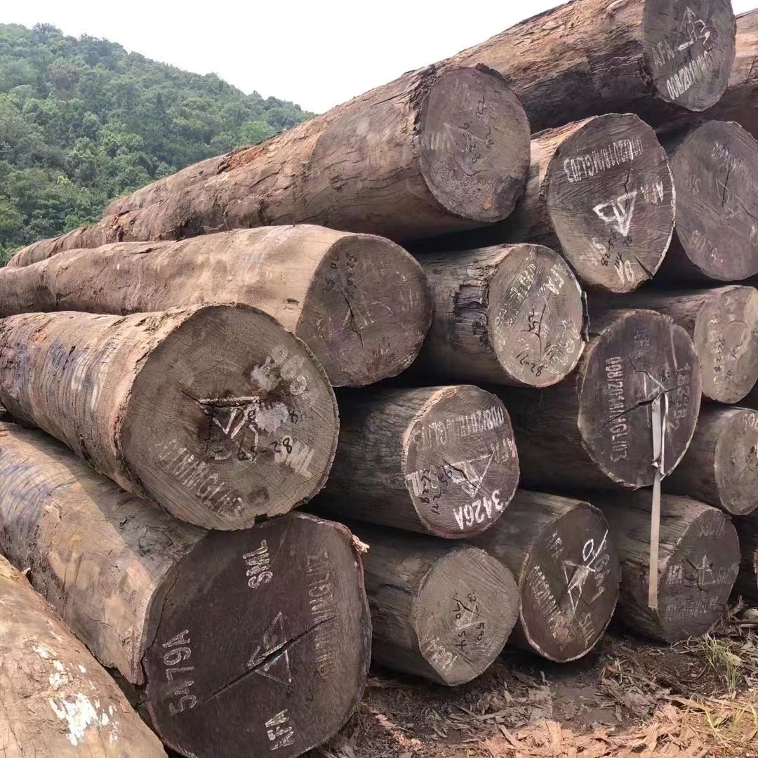 2023-10-29 08:57:41.jpg