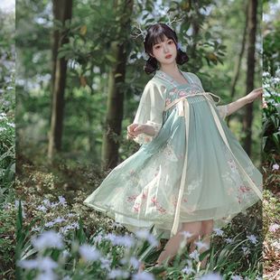 Original Improved Hanfu Fall in Love with Deer Chinese Style Daily Girl Han Element Chest-length Skirt Ru Printed Spring and Summer Fairy