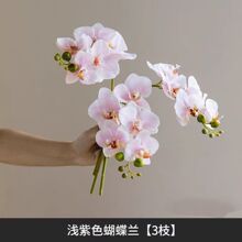 含阳 仿真花 高档手感保湿5头蝴蝶兰仿真花 家居装饰摆件 婚庆布