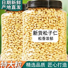 东北松仁粒松子仁原味2026新货熟生无添加特级特大东北长白山松子