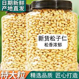 东北松仁粒松子仁原味2026新货熟生无添加特级特大东北长白山松子