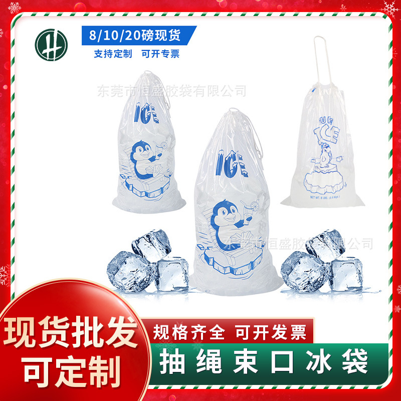 跨境现货抽绳束口自封制野餐保鲜冰袋冰块包装袋食品饮料袋一次性
