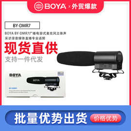 BOYA（博雅）BY-DMR7 便携收音录音指向话筒录音机枪麦二合一
