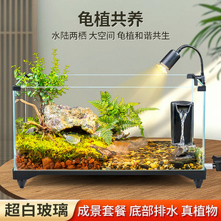Turtle Tank with Sunbathing Platform for Turtle Breeding, Special Ecological Glass Water-Land Semi-Aquatic Turtle Breeding Large Fish Tank Aquarium