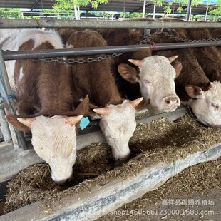 ��ţ�����T����������ţ�كr��Ʒ�N��ţ�ٻ��w�Sţ