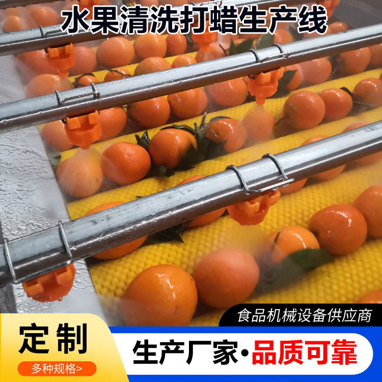 全自动砂糖橘清洗打蜡机水果打蜡清洗设备柑橘柚子打蜡分级机