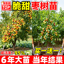 ��������ϱ����������ͺ��ش�����մ�����������������޽ӹ�����