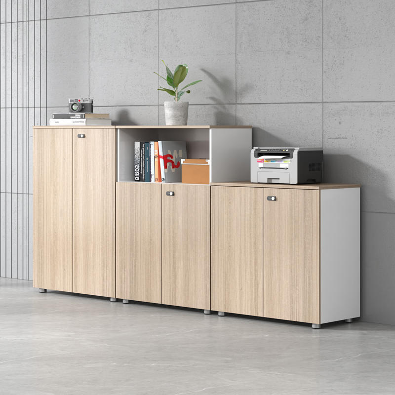File Cabinet Low Cabinet File Cabinet Wooden Locked File Cabinet Small Office Storage Side Cabinet Partition Receiving Cabinet File Cabinet Low Cabinet File Cabinet Wooden Locked File Cabinet Small Office Storage Side Cabinet Partition Receiving Cabinet