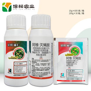 �s�� ���� 31%���S ��ω��  200g�˶����ްߝ�ω �rș���x��