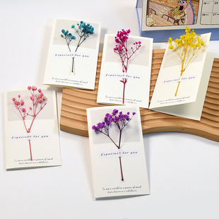 Simple Korean Style Fresh Greeting Card Creative Handmade Blessing Small Card Thanksgiving Teachers' Day Business Dried Flower Gift Card