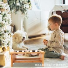 木制猫碗架带盆护颈椎猫咪食盆狗食盆防打翻猫粮水碗架宠物喂食架