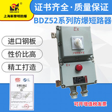 防爆断路器空气开关漏保控制箱 BDZ52-40A 新黎明防爆断路器