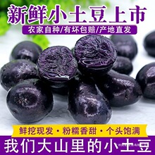 �ຣ�خa���r�������ڽ�����ɫ���R��������С��������������