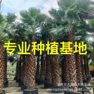 �������˿��Nֲ���� �Aʢ�D�ؙ����� �Aʢ�D�z���r�� ���˿����l