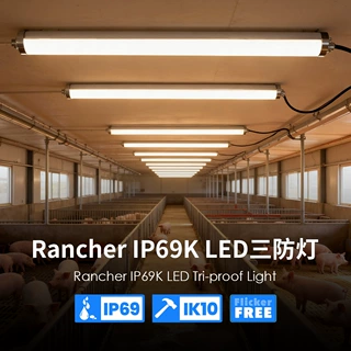 源头工厂IP69K防水屠宰场LED三防灯防尘高显指洁净照明灯