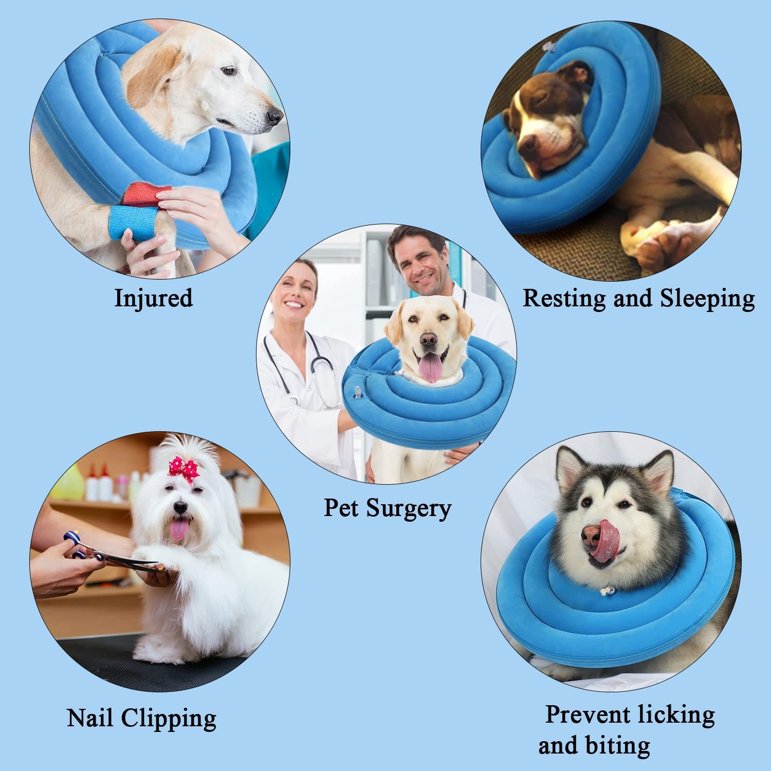 O1CN01zQ0rdn1PuFHHKVqIU_!!2533