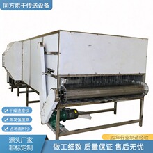 多层带式低温热风昆虫黄粉虫干燥机 黑水虻烘干设备 面包虫烘干机