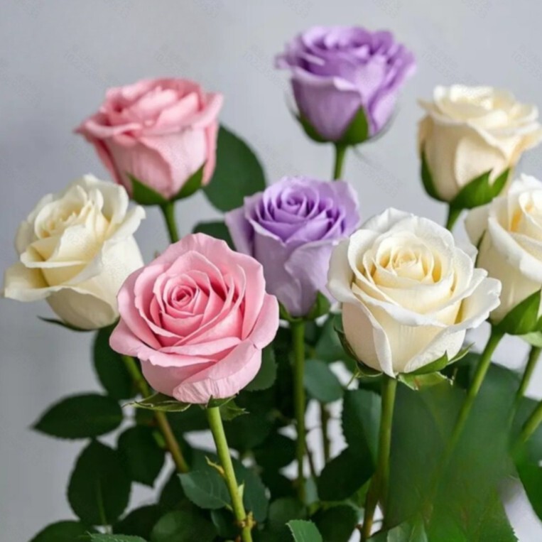 Cross-Border Popular Product: Pack of 11 Mixed-Color Artificial Roses for Indoor Decoration, Artificial Flowers Cross-Border Popular Product: Pack of 11 Mixed-Color Artificial Roses for Indoor Decoration, Artificial Flowers