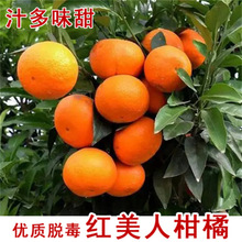 ��Ʒ�Nï�ȸ���������s���̽ۼ޽����t������ϱ��ɷN���Ե���