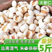 ޲������؛5���r�������s�Z�����С����޲����С�t�����ײ����l