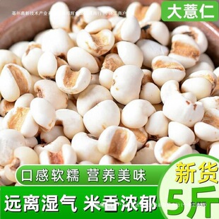 ޲������؛5���r�������s�Z�����С����޲����С�t�����ײ����l