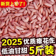 2025��ɽ�|�°T������С����С�T��С��С�������r�Ҹ�����ʳ��؛