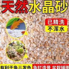 ��Ȼ�~�׵�ɰ��ɳ����ֲ�ﻨ��|���b��w���ع���ˮ��ɳʯ�S���l