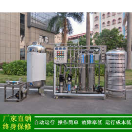 供应广东云浮二级反渗透去离子水设备纯水机250L/H二级反渗透装置