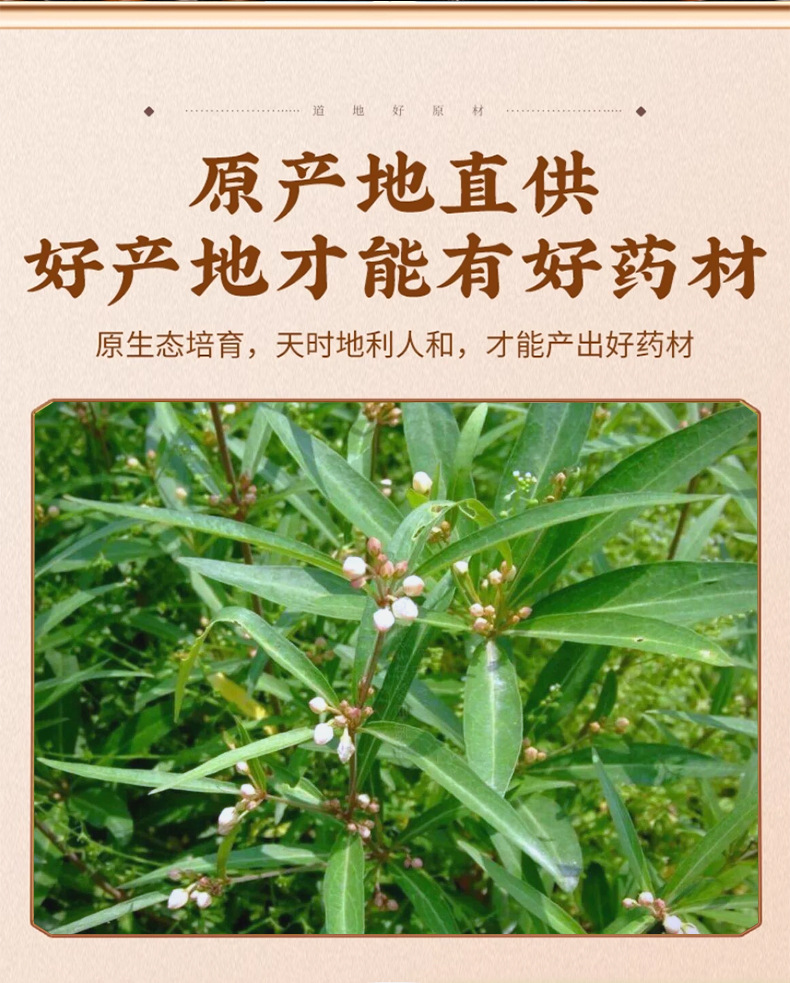 Bai Qian Dried Cynanchum Root 50g Traditional Chinese Herb for Decoctions key features