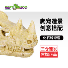 REPTIZOO���������߱��y�،m�������Ȼʯ�^���������x��ܶ��쾰