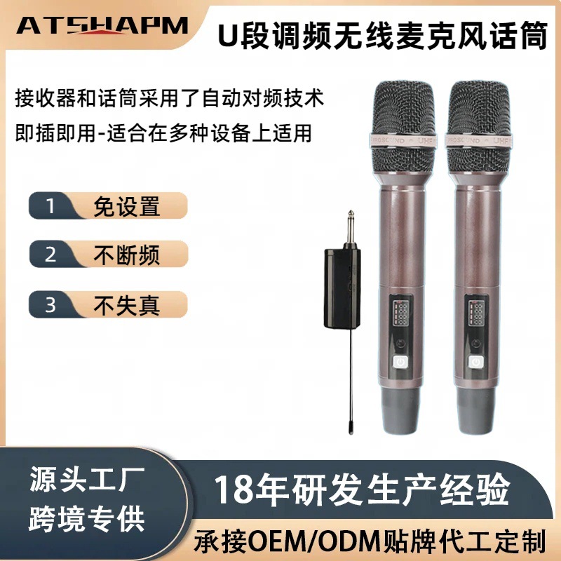 Cross-Border Popular All-Metal Dual Wireless Microphone for Square Dancing, Performances, Conferences, Karaoke, and Multi-Device Use